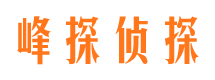 凌海侦探公司